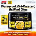Authentic Premium Carnauba Car Wax – 200g